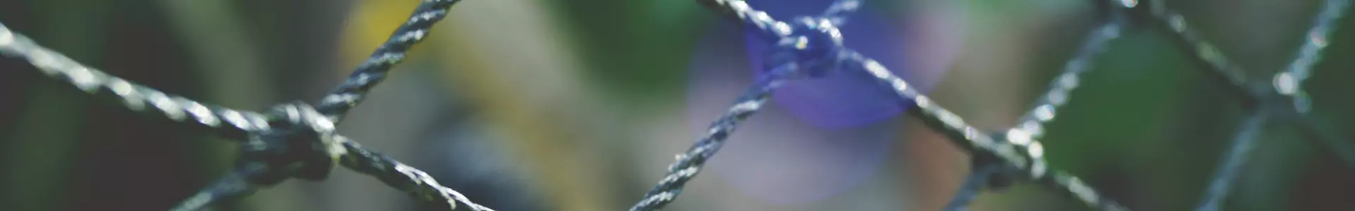 About Prestige Safety Nets